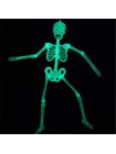 Скелет 86 см светонакопительный пластик Хэллоуин HS-4-14