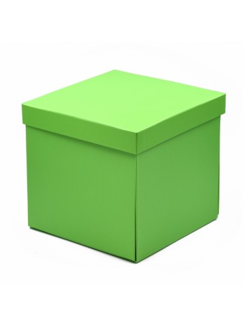 Коробка складная 20 х20 х19 см цвет салатовый HS-21-3