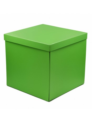 Коробка складная 29 х29 х28 см цвет салатовый HS-21-1