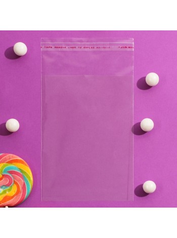 Пакет прозрачный 10 х14/4 см со скотчем полипропилен