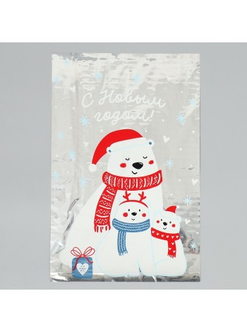 Пакет пластик 20 х30 см Тепла и уюта