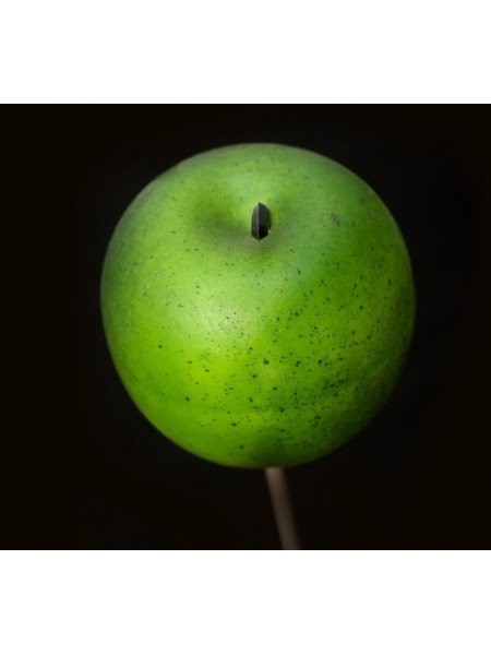 Яблоко на вставке 6*50см