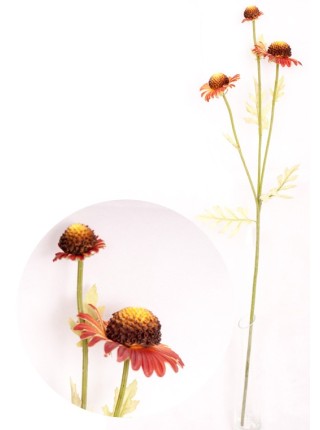 Хризантема корейская (медовые соты) цвет коричневый 80см