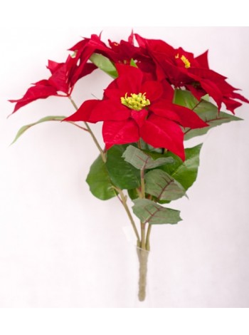 Пуансетия бархатная бордовая букет из 5 цв.