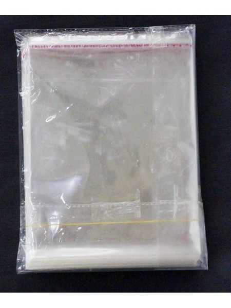 Пакет прозрачный 16 х20 (+3) см со скотчем 1/ 200 шт HS-49-3