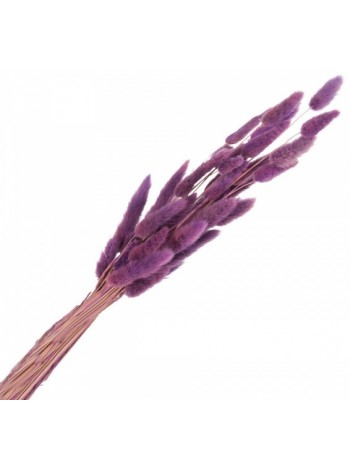 Ветки Лагурус декоративные 40 г цвет Лиловый Арт 6005-372
