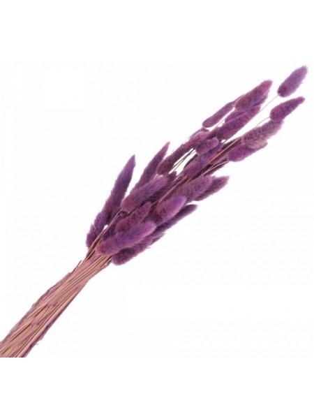 Ветки Лагурус декоративные 40 г цвет Лиловый Арт 6005-372
