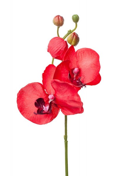 Орхидея 33 см красный