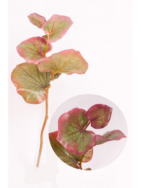 Эвкалипт ветка 40 см цвет красно-зеленый