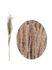 Тростник 100 см цвет микс HS-6-14 пампасная трава