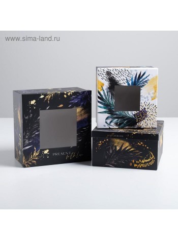 Коробка картон 18 х18 х10-22 х22 х12 см набор 3 шт с PVC-окном Present