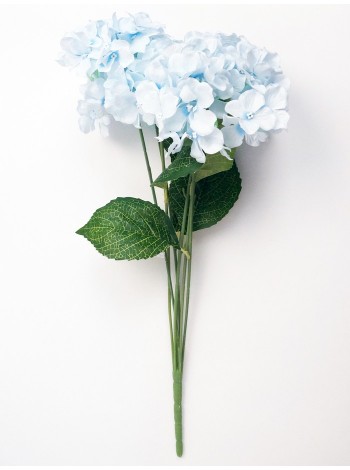 Гортензия 7 цветков голубая