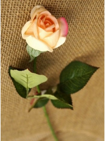 Роза бутон 44 см цвет айвори