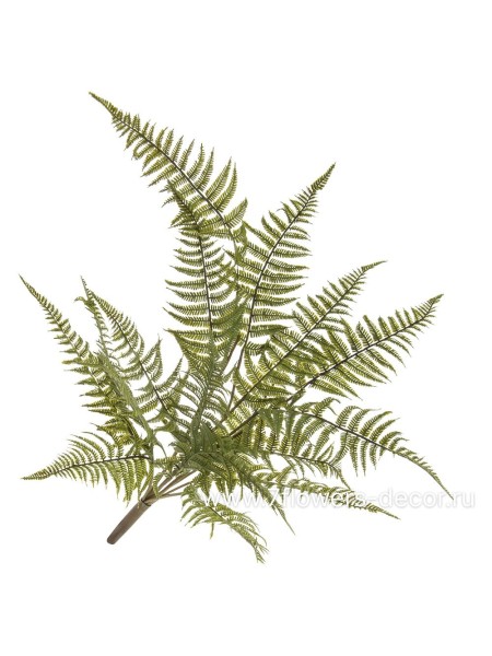 Папоротник 50 см растение искусственное цвет зеленый арт.XSI23-16