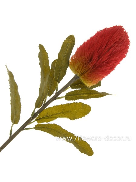 Банксия 66 см цветок искусственный цвет красный Арт AB1972