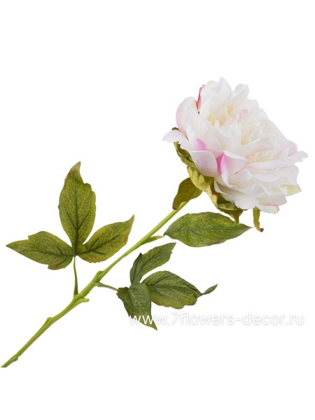 Пион 56 см цветок искусственный цвет белый Арт SGMD